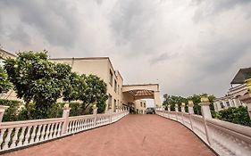 Celebration Garden